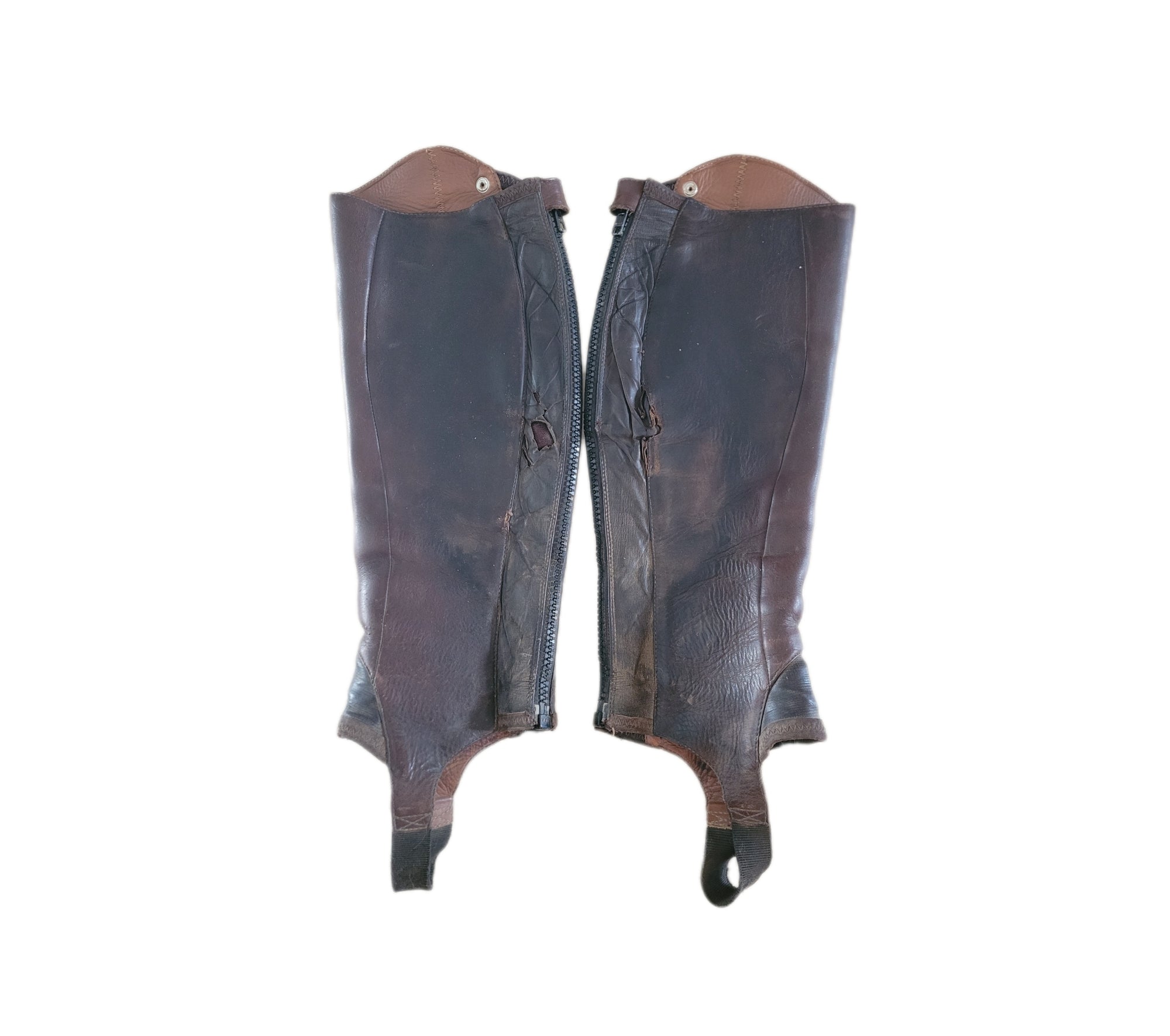 Demi-chaps Ariat