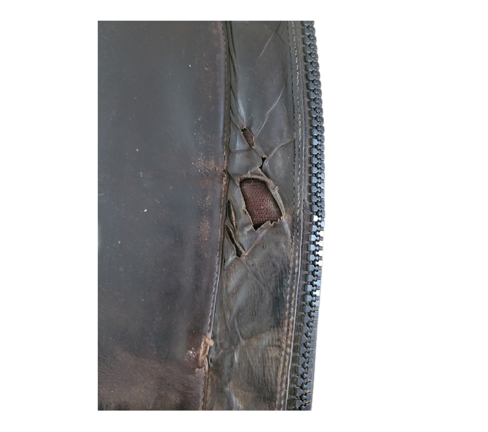 Demi-chaps Ariat