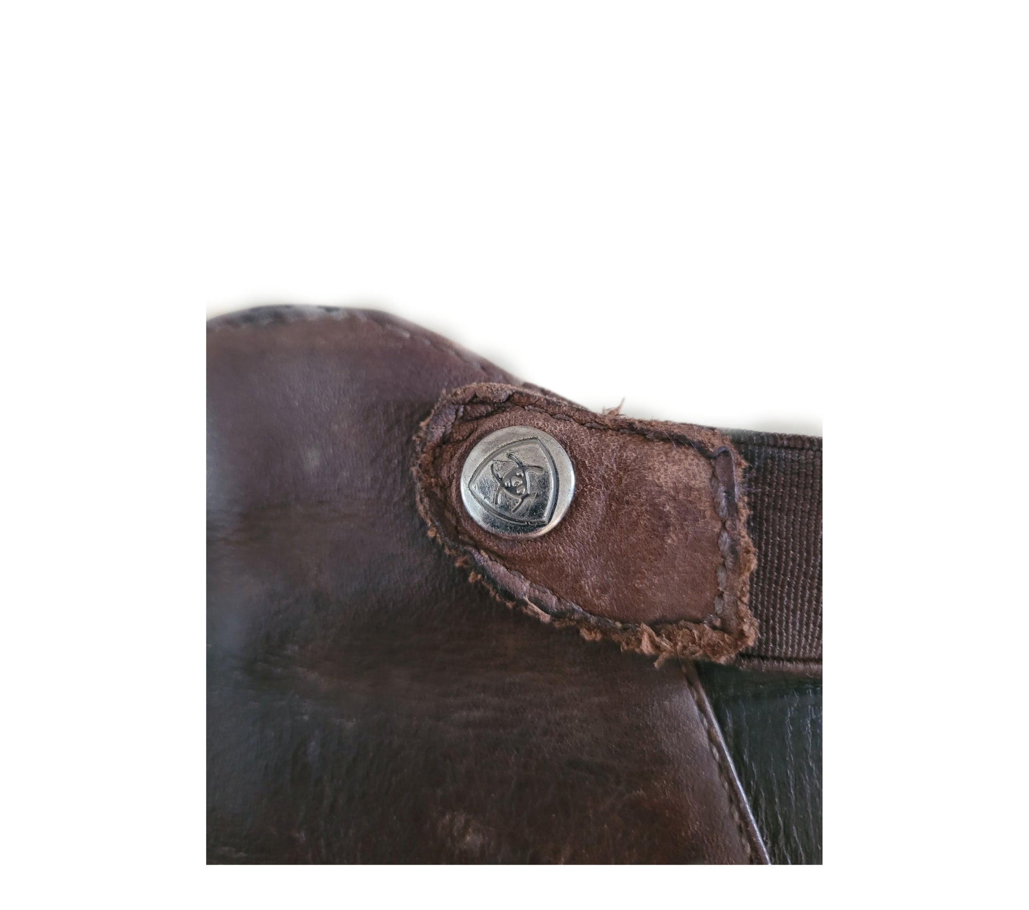 Demi-chaps Ariat