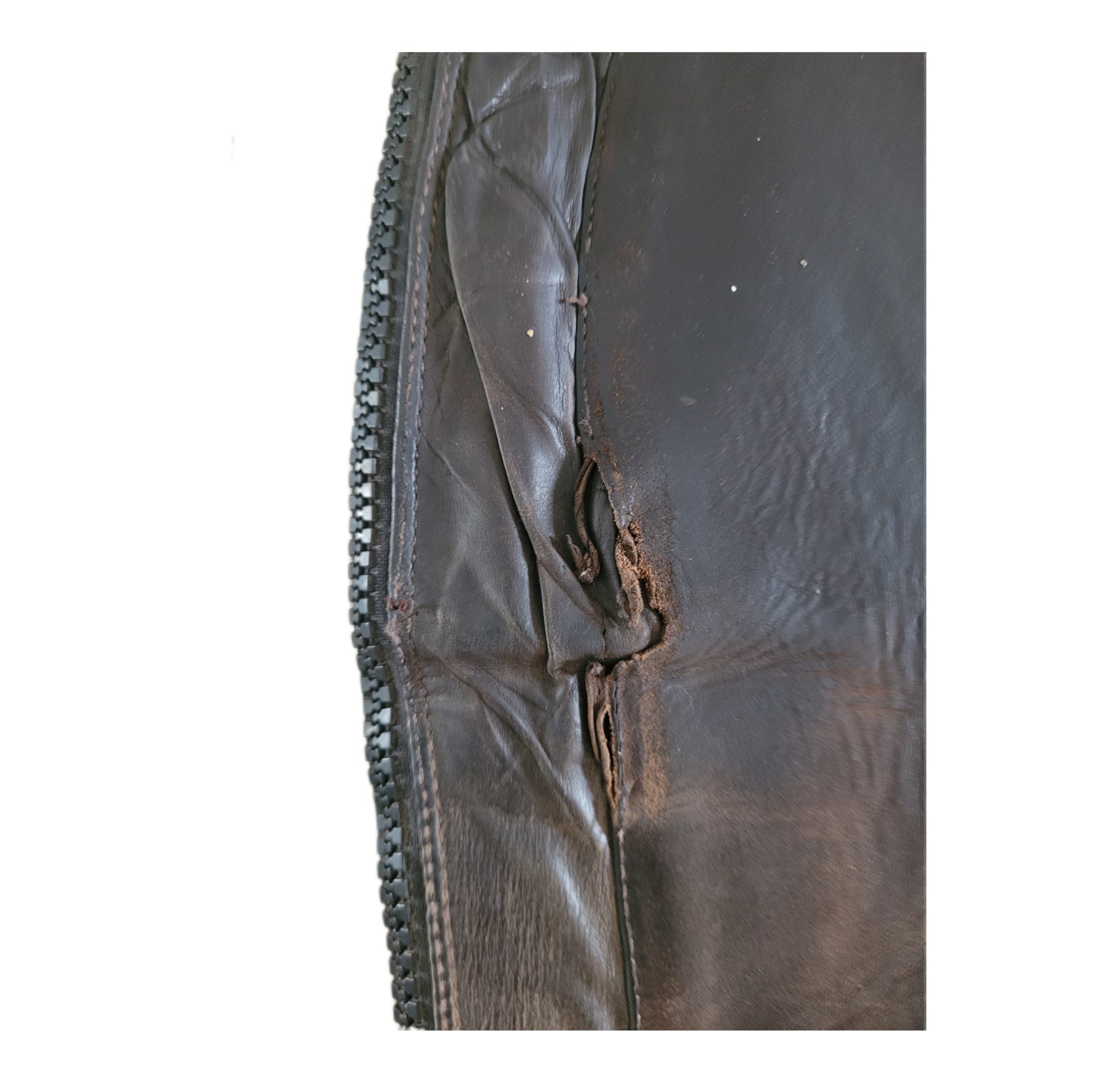 Demi-chaps Ariat