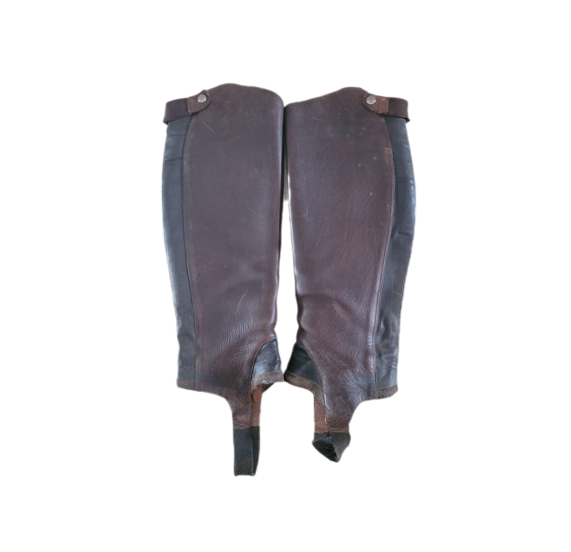 Demi-chaps Ariat